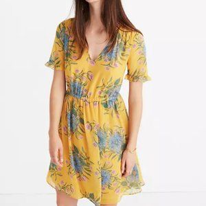 Madewell Spring Floral Dress
